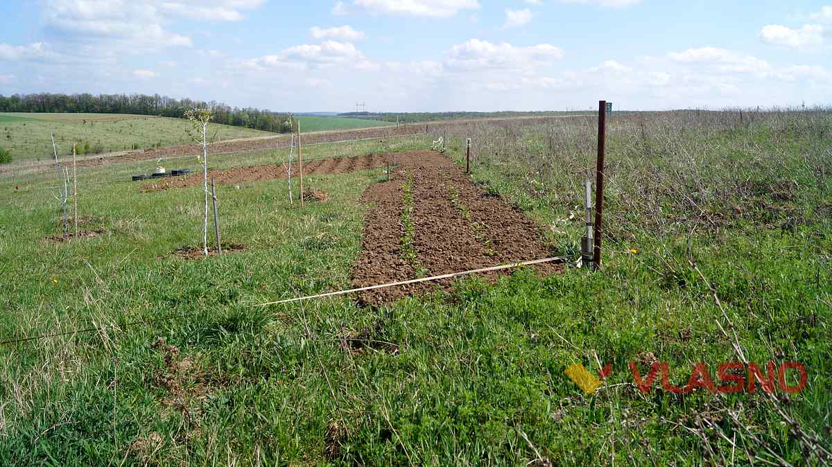 ivanivka14 1