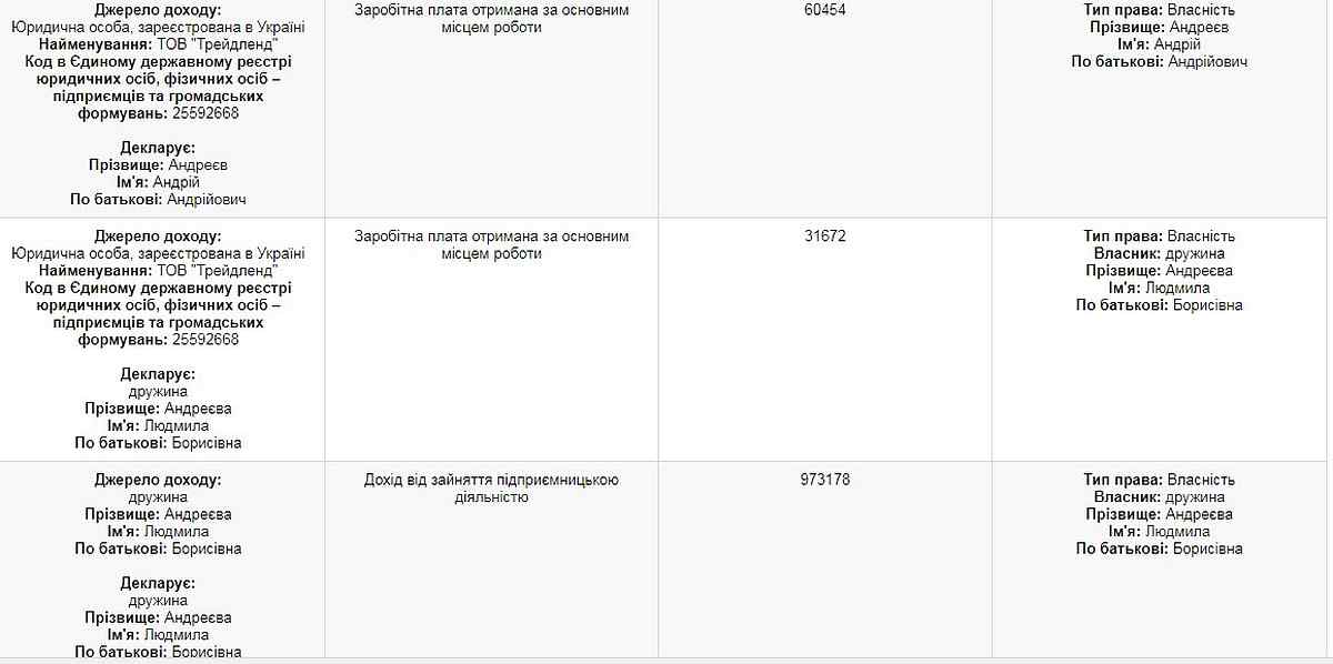 декларація Андрія Андреєва фото