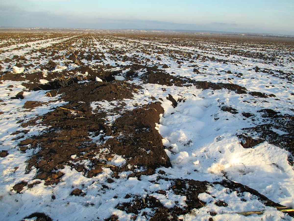 rozkopuvannya kurganiv 14 1