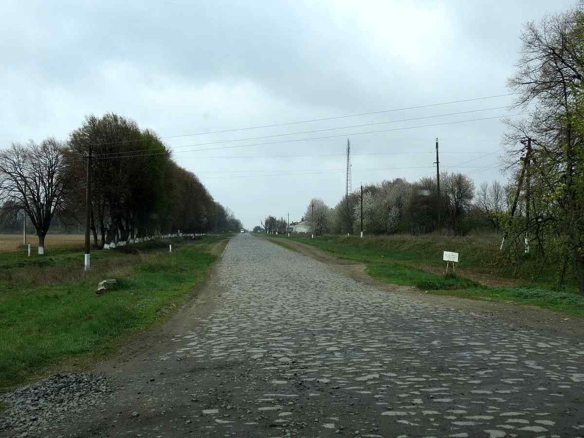 IMG 8005 1