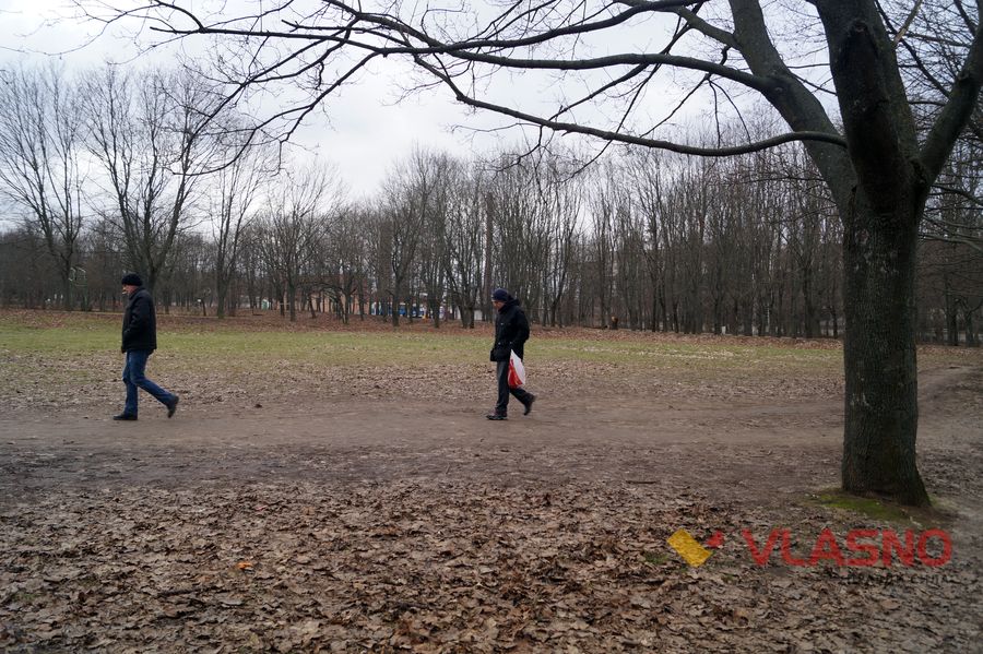 park-6