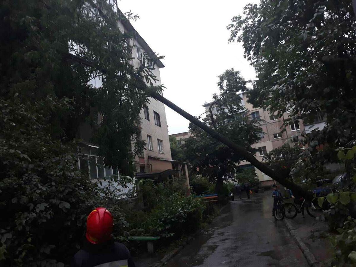 negoda-vinnytsia-4