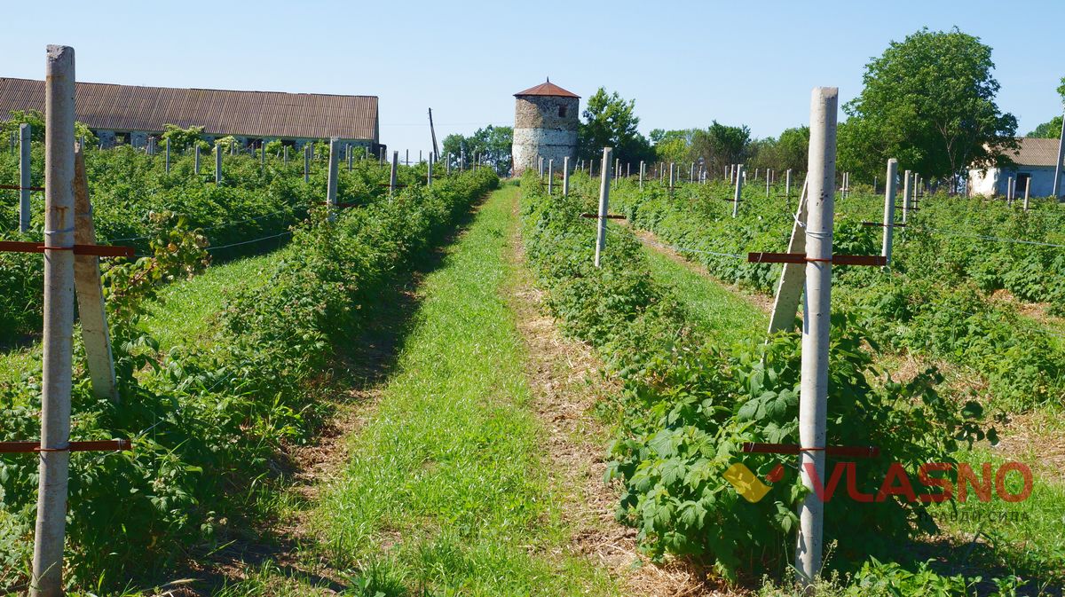 pidpryjemstvo-14