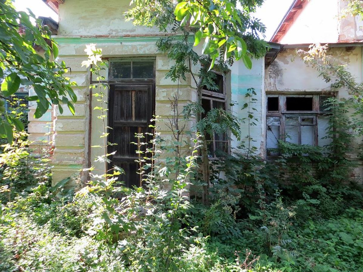 maetok-u-yosipivki-4