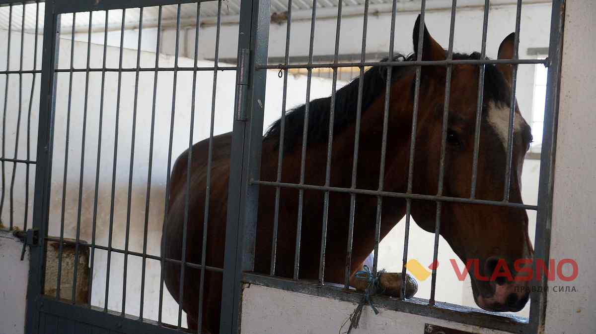 hors 14 1