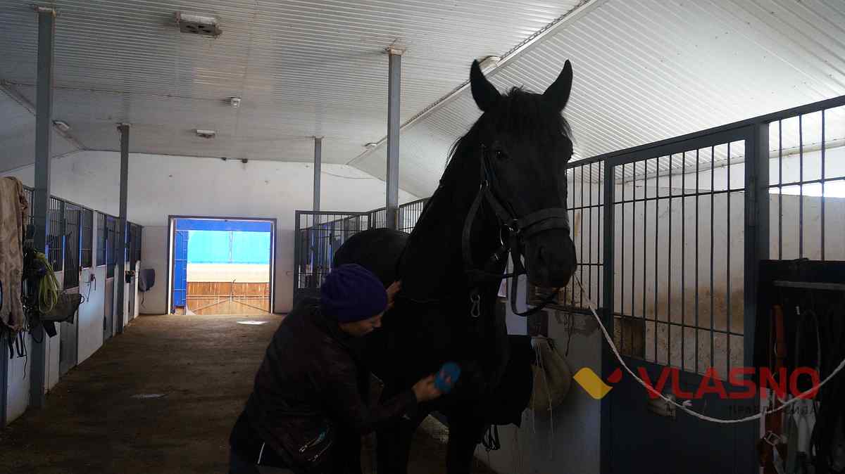 hors 16 1