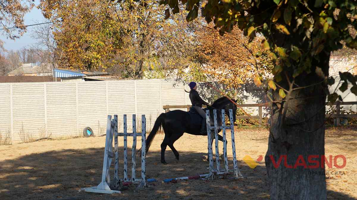 hors 20 1