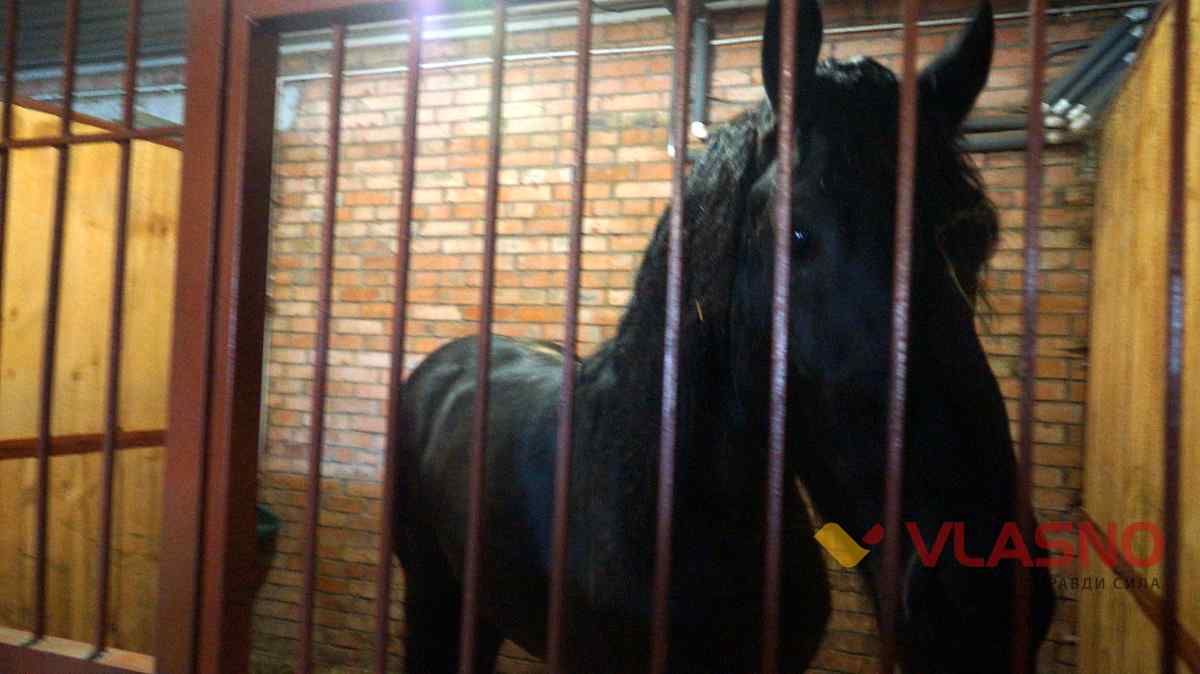 hors 5 1