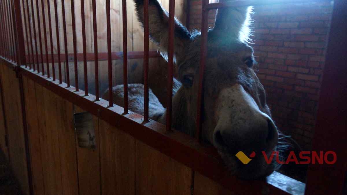 hors 9 1