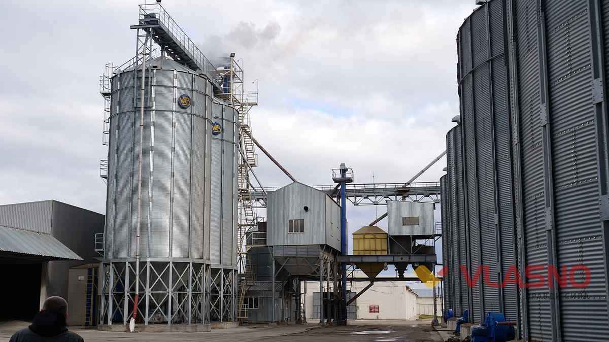 agro 31 1