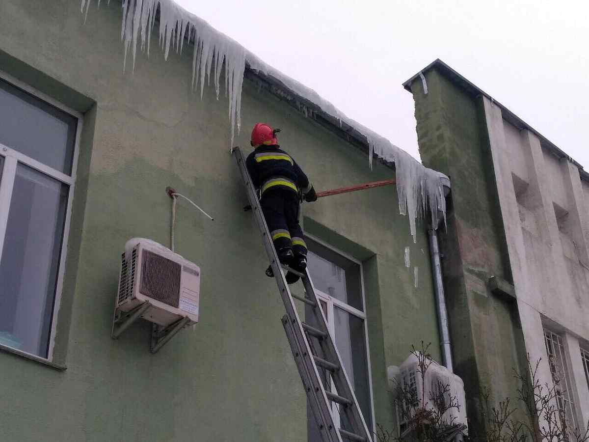 na vinnychchyni zbyvayut burulky