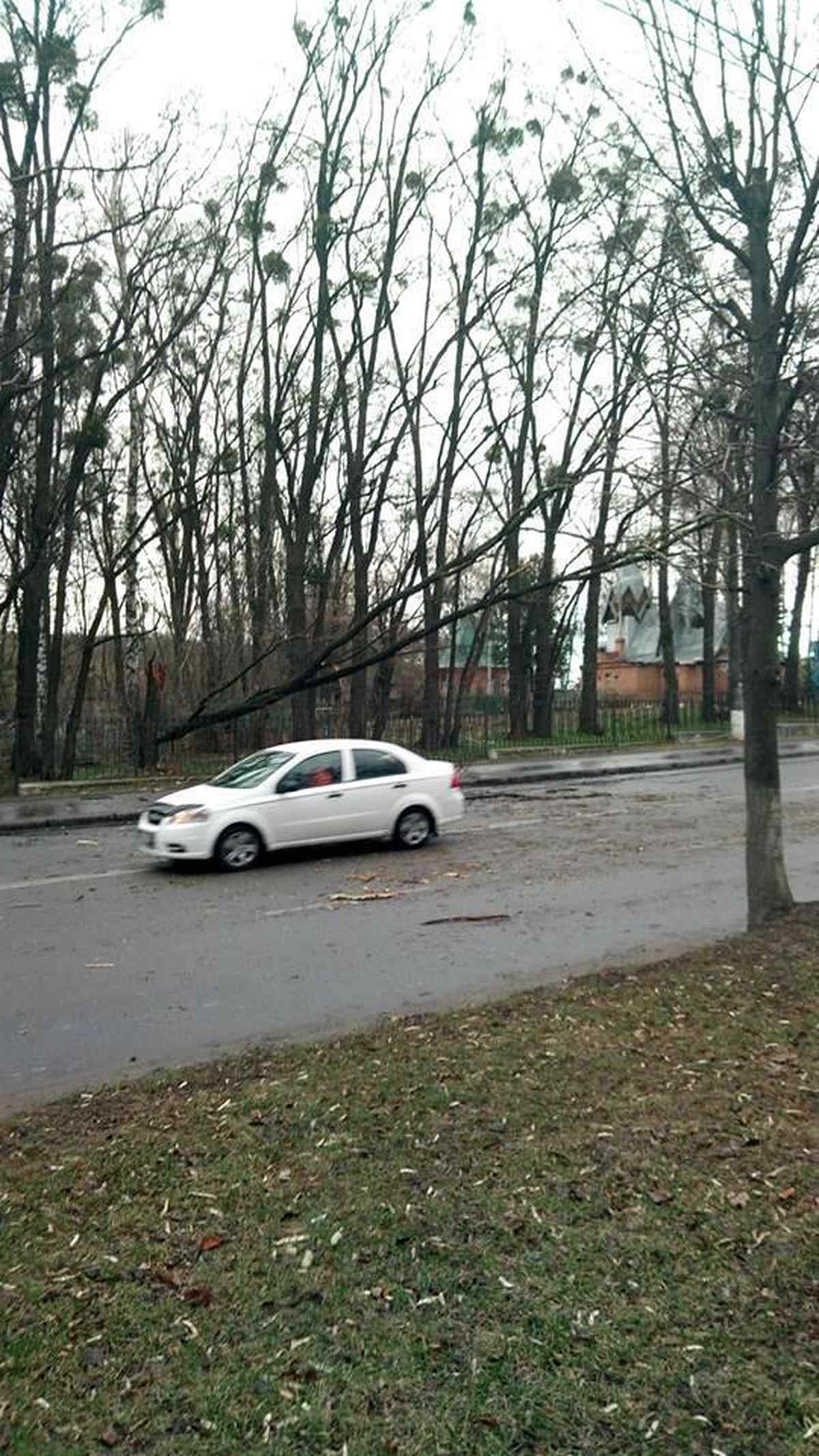 249e24071b7da2e5e7e87dc5c0b8493d78 1