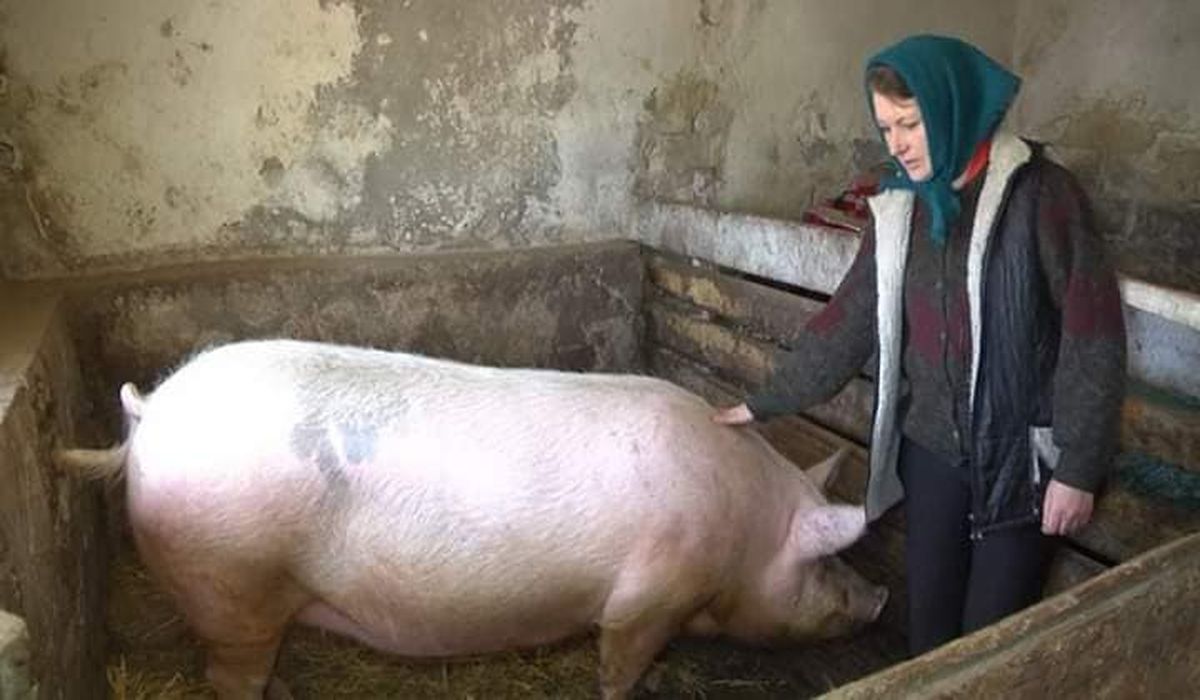 pohoriltsi u seli noskivtsi na vinnychchyni 3