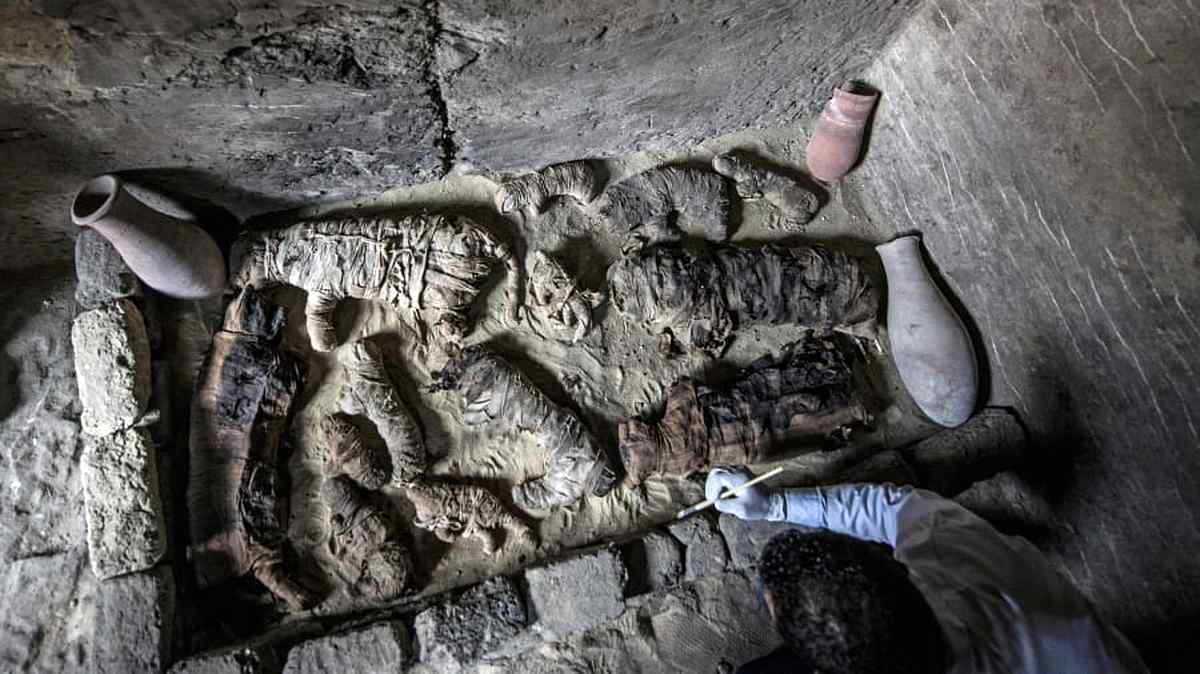 http   cdn.cnn.com cnnnext dam assets 181110223821-cat-mummies 1