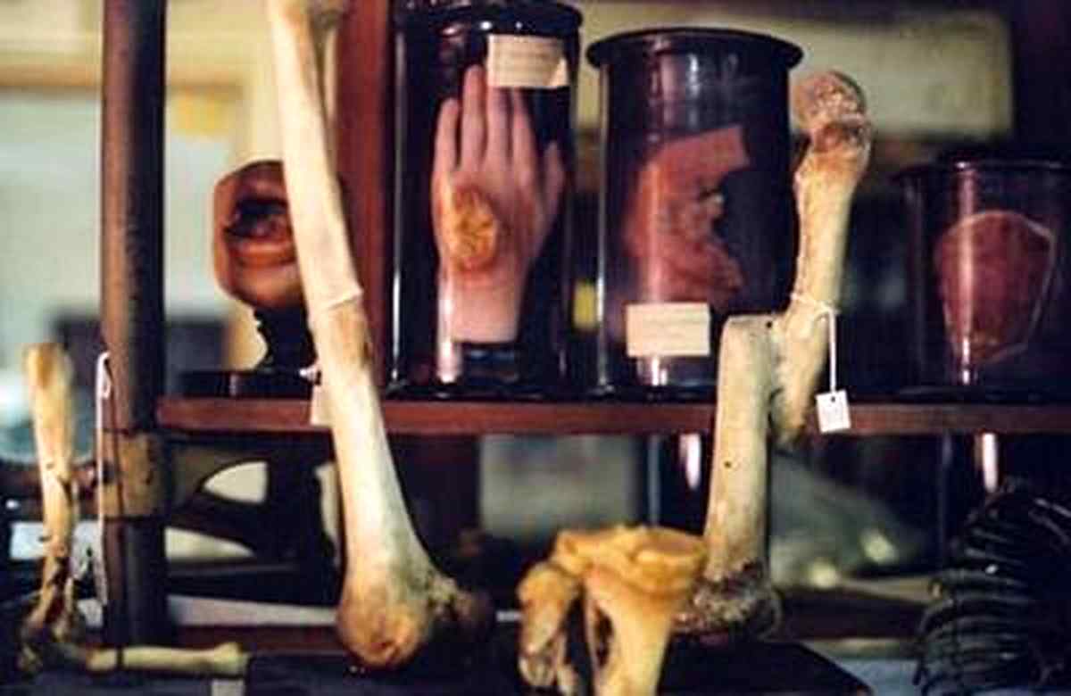 museum 12 1
