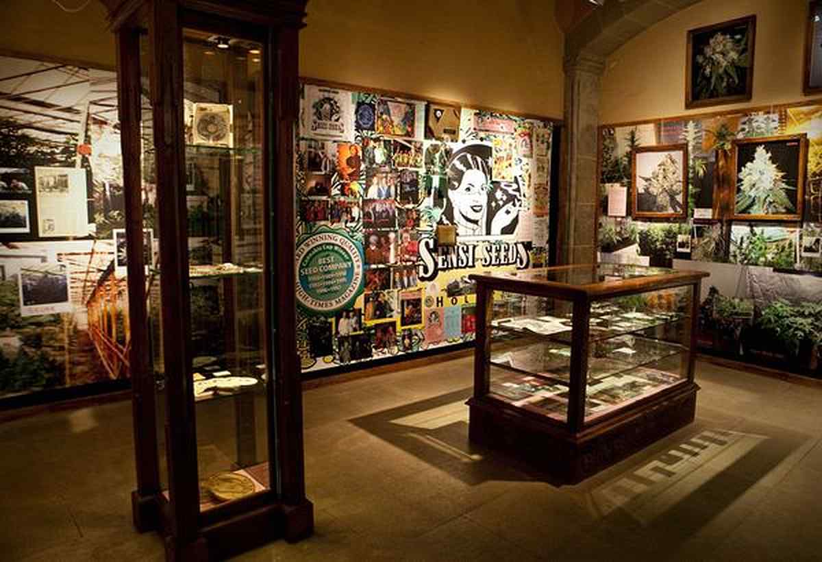 museum 19 1