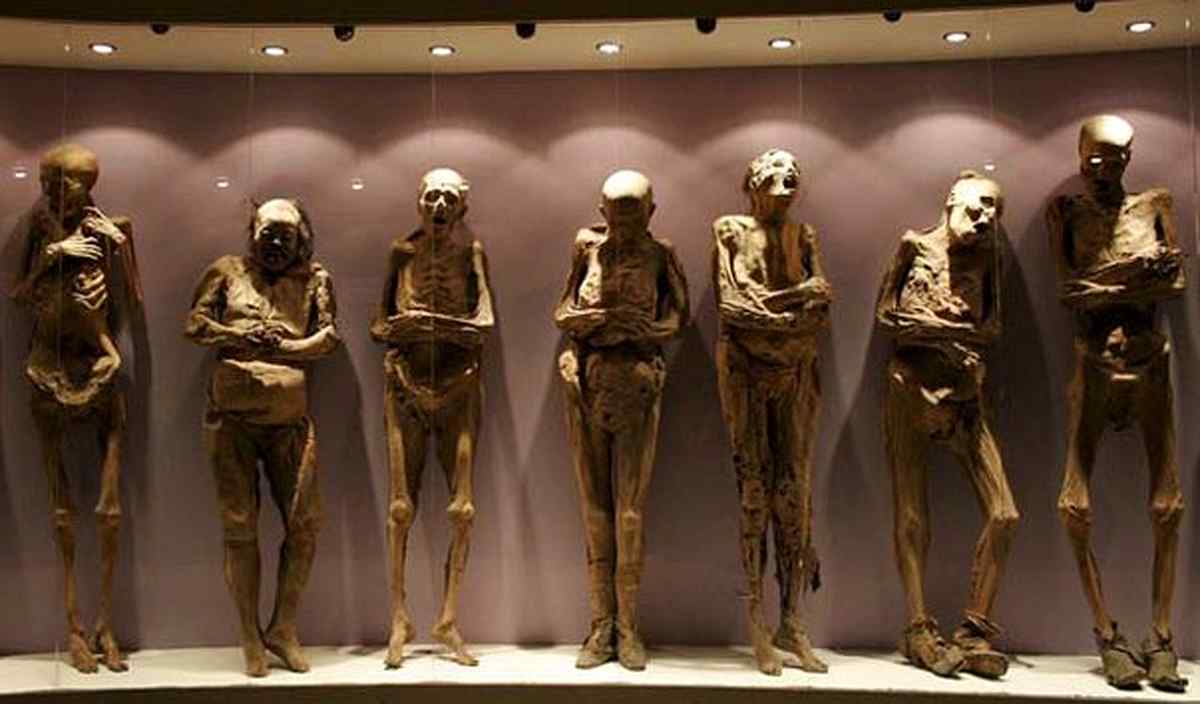 museum 20 1