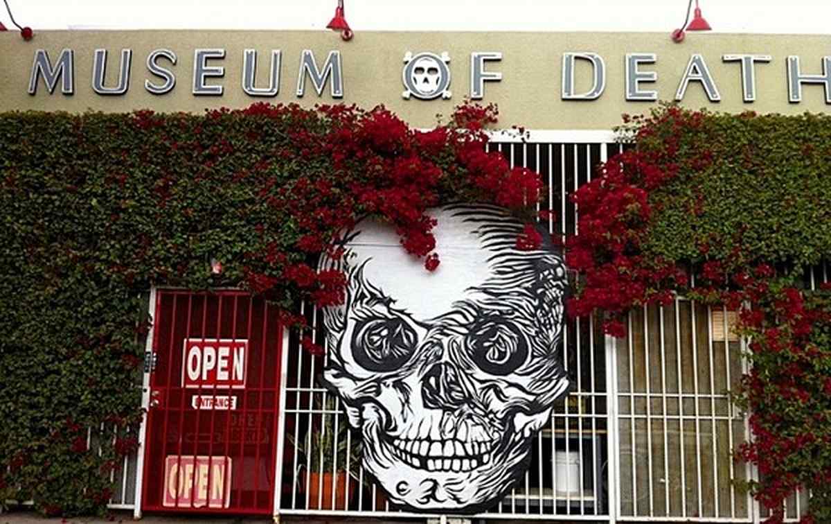 museum 23 1