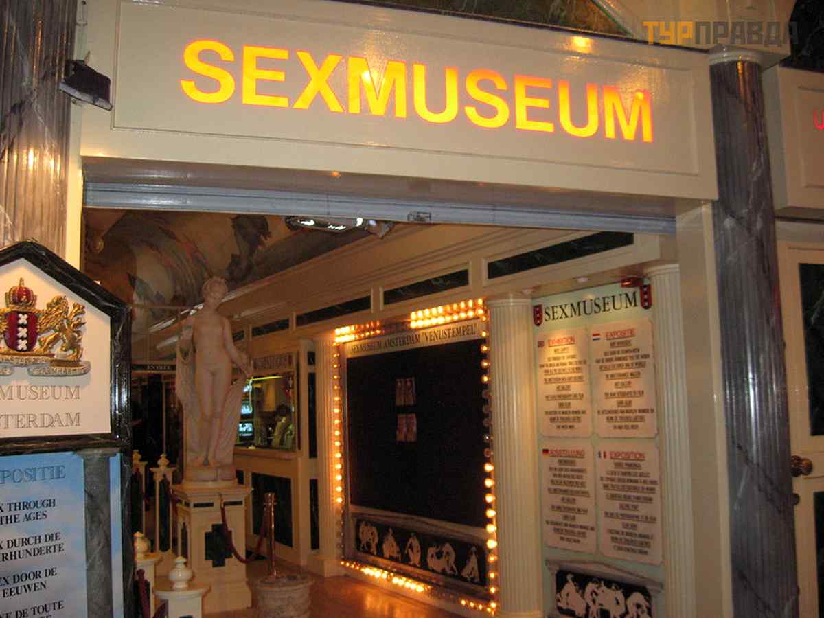 museum 6 1