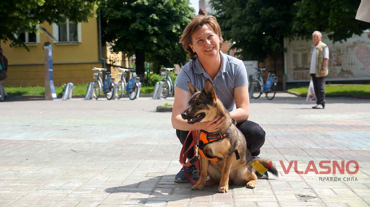 dog help 1 1