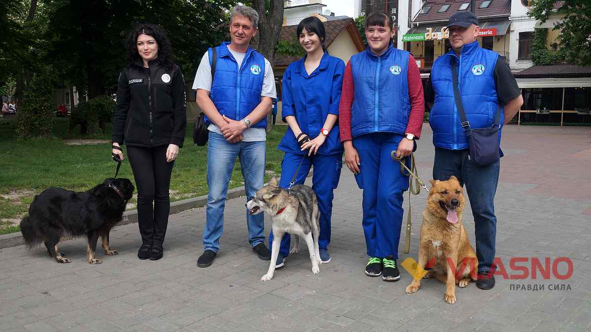 dog help 30 1