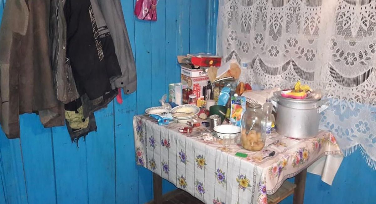 na zhytomyrshchyni batky vbyly ta spalyly ridnu donku 3