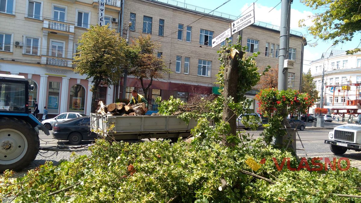 derevo-soborna-2
