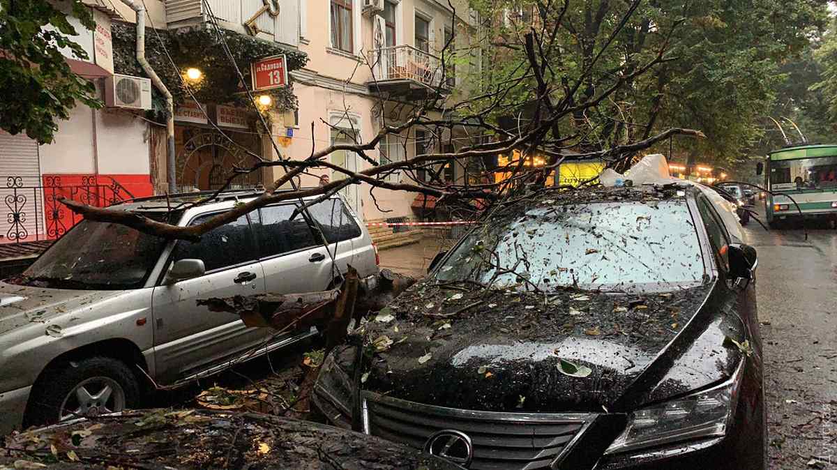 povaleni-dereva-odesa-4 1
