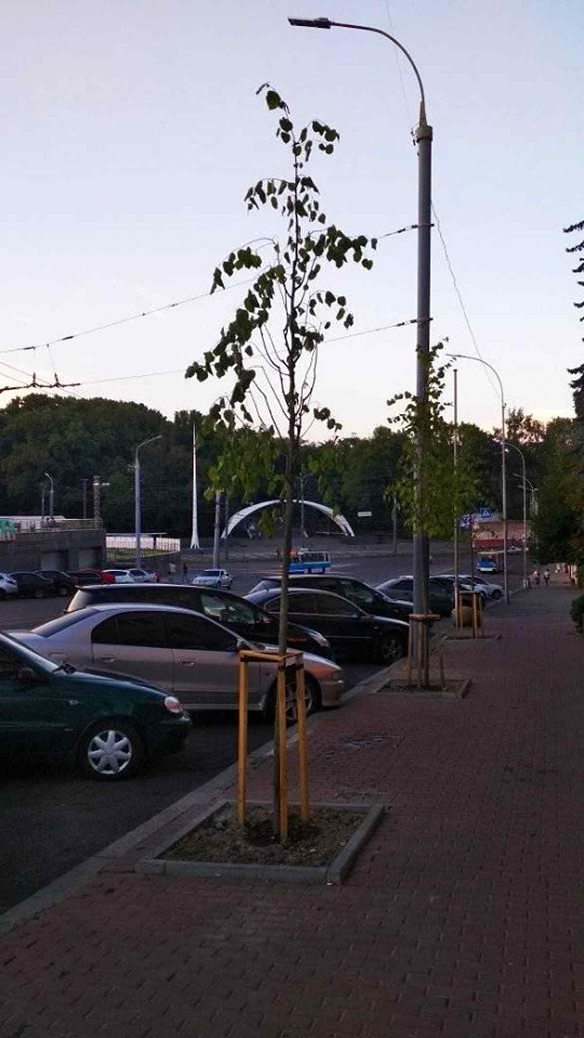 vusadka-lup-2 2
