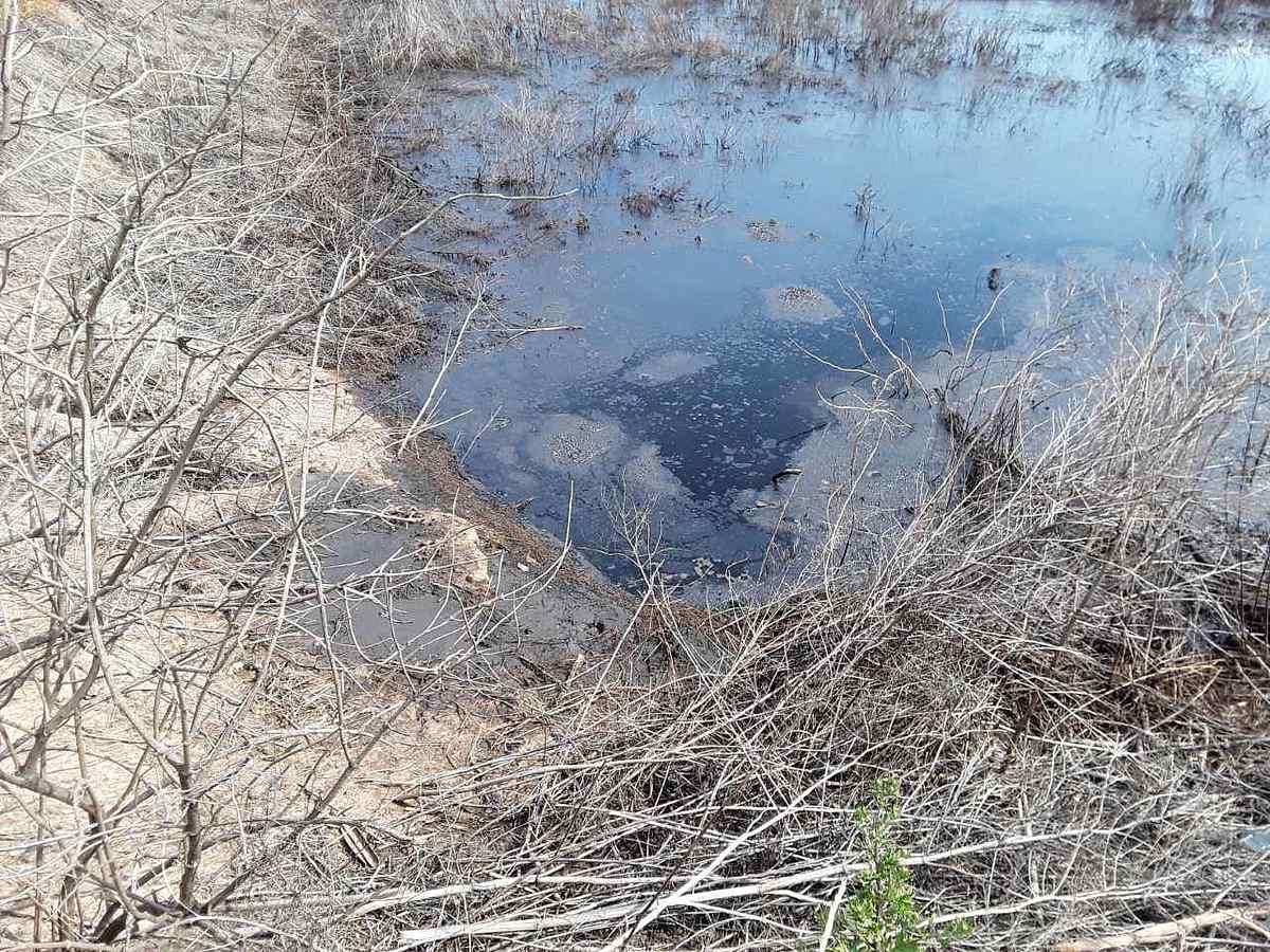 Trostyaneckyy-spyrtzavod-1 1