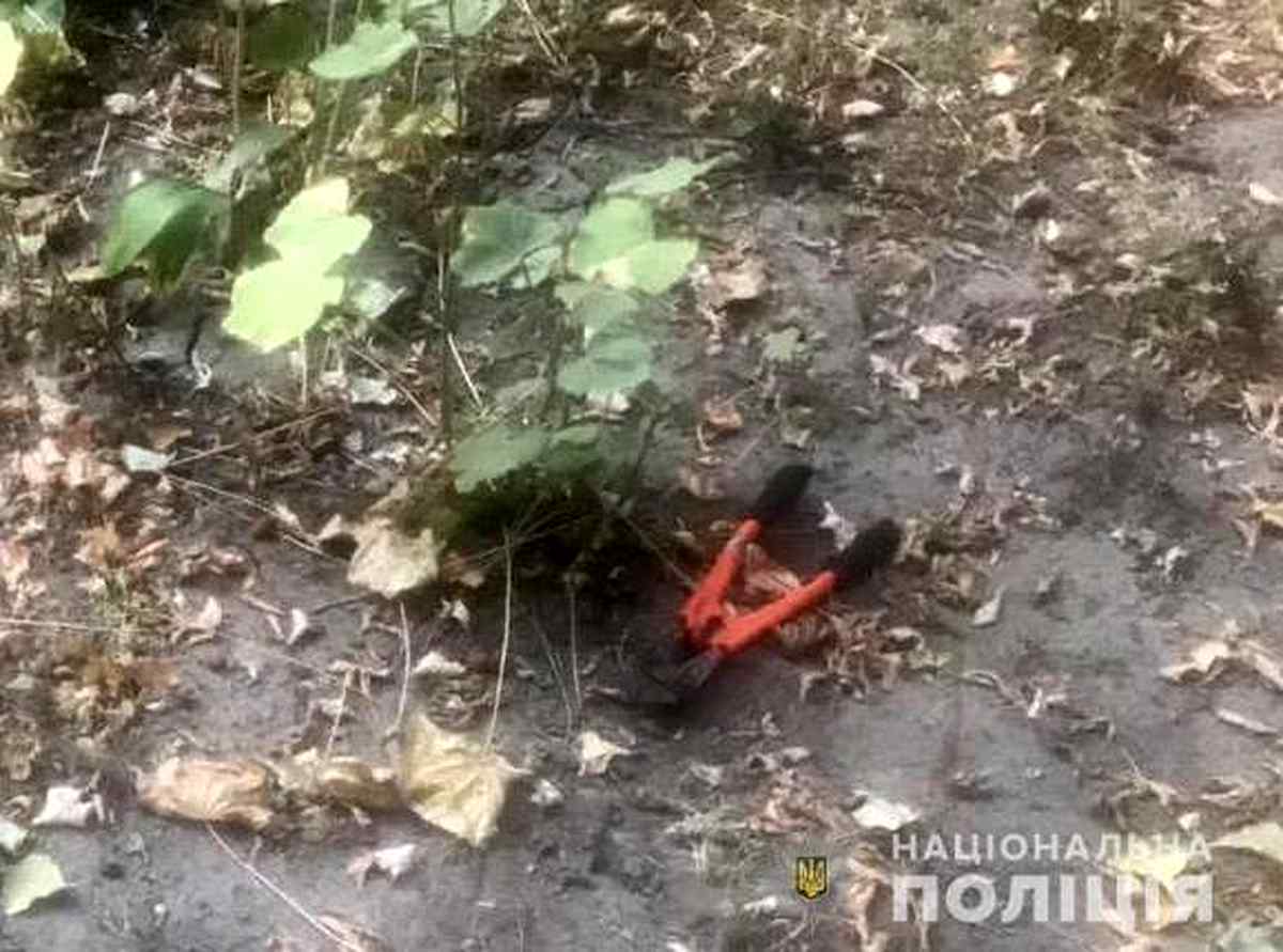 vykrav-velosuped-2 1