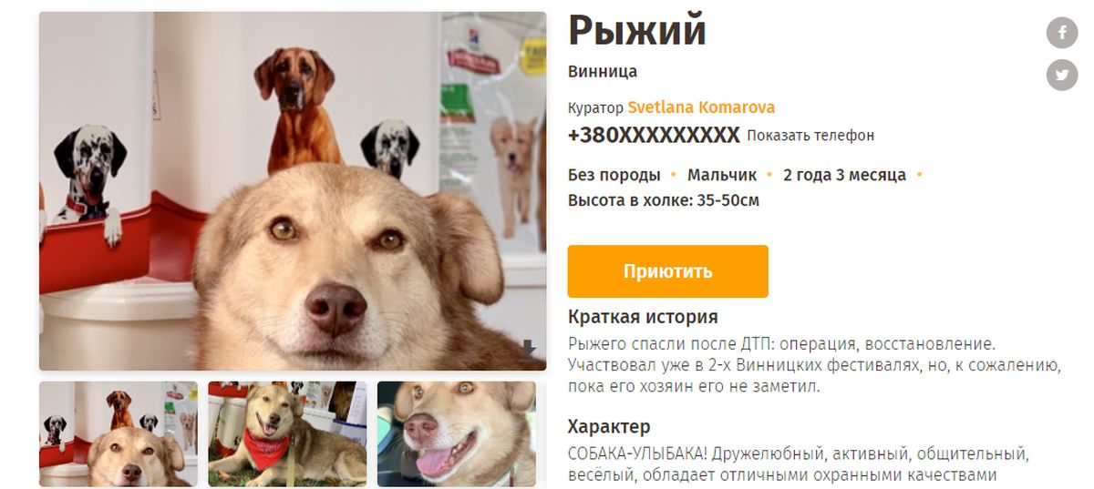 ryzyi