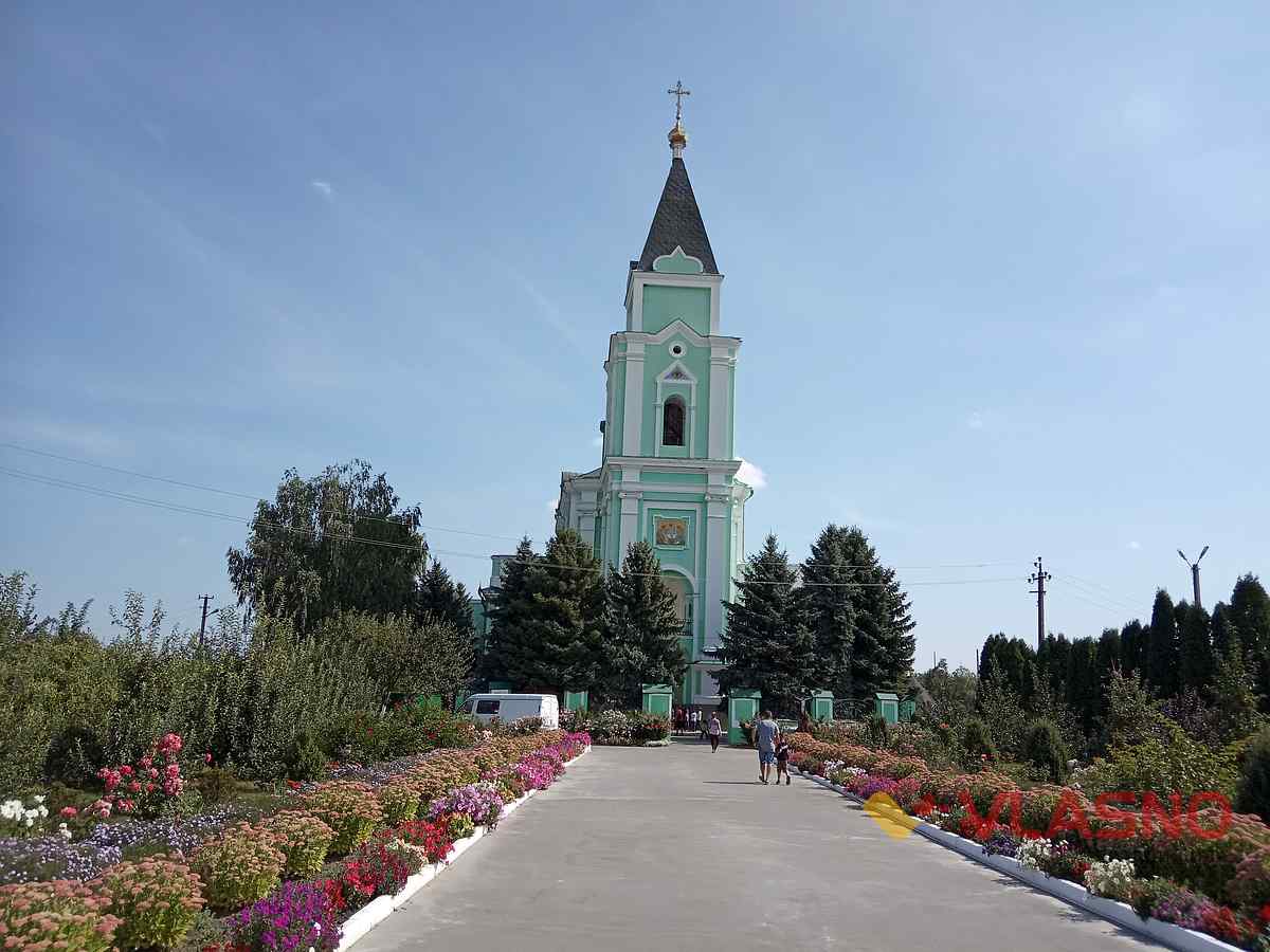 brailov1 1