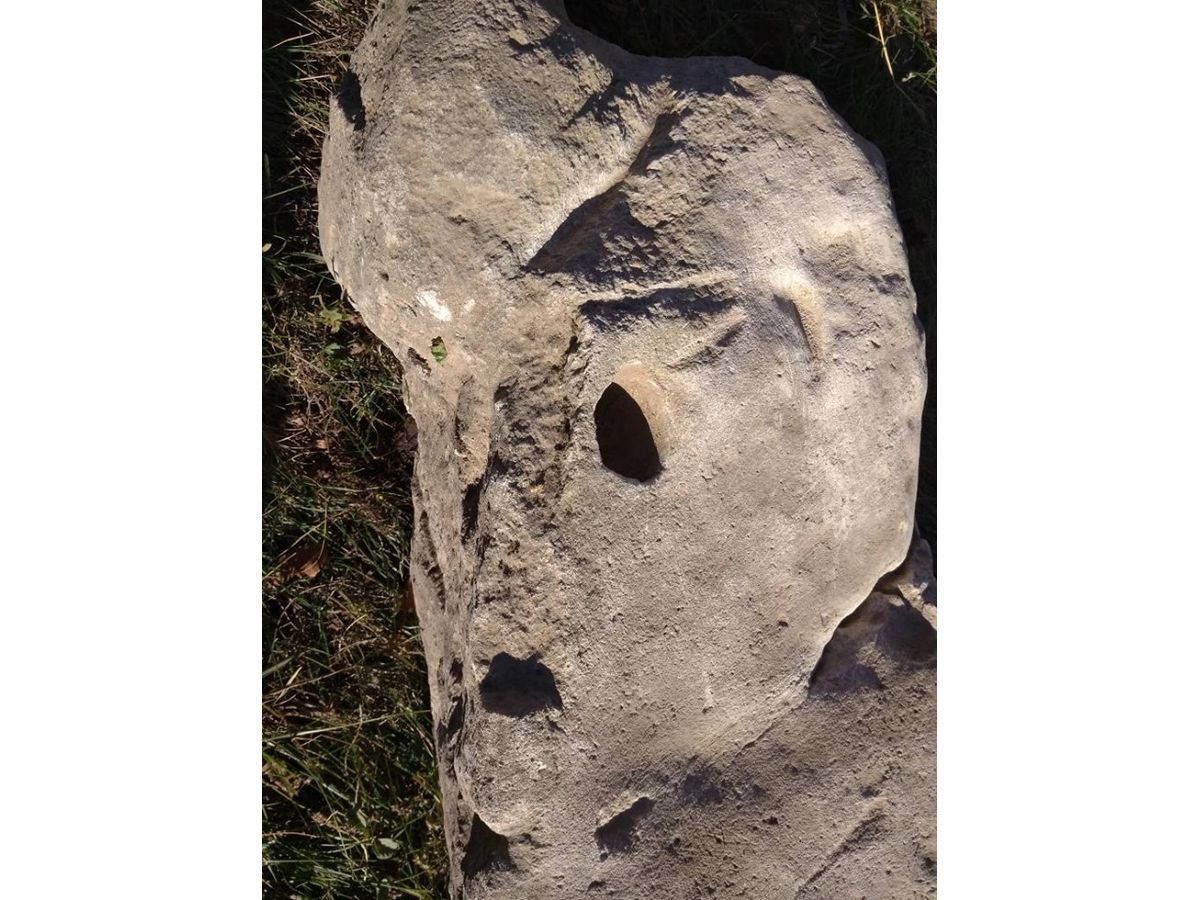 stela-1
