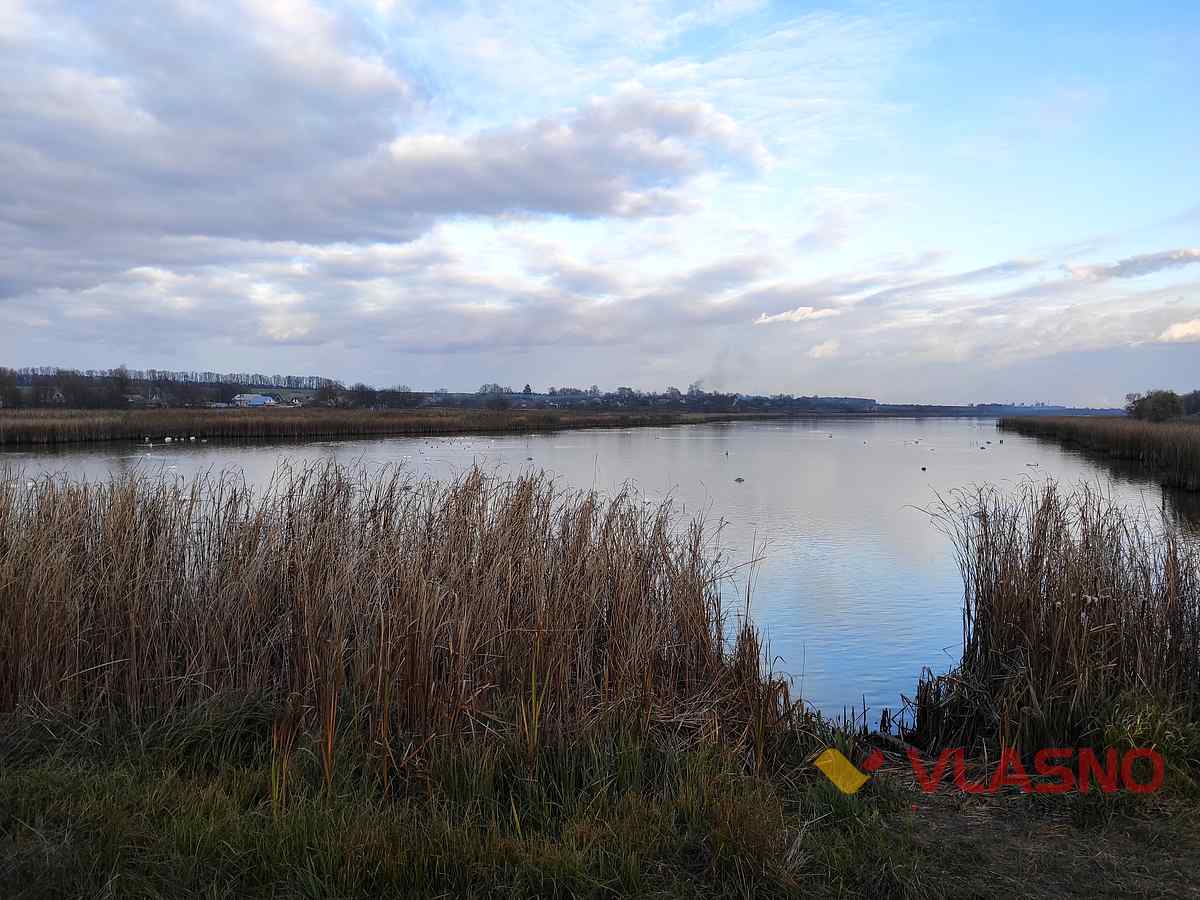 lebedi-Nestervarka 3 1