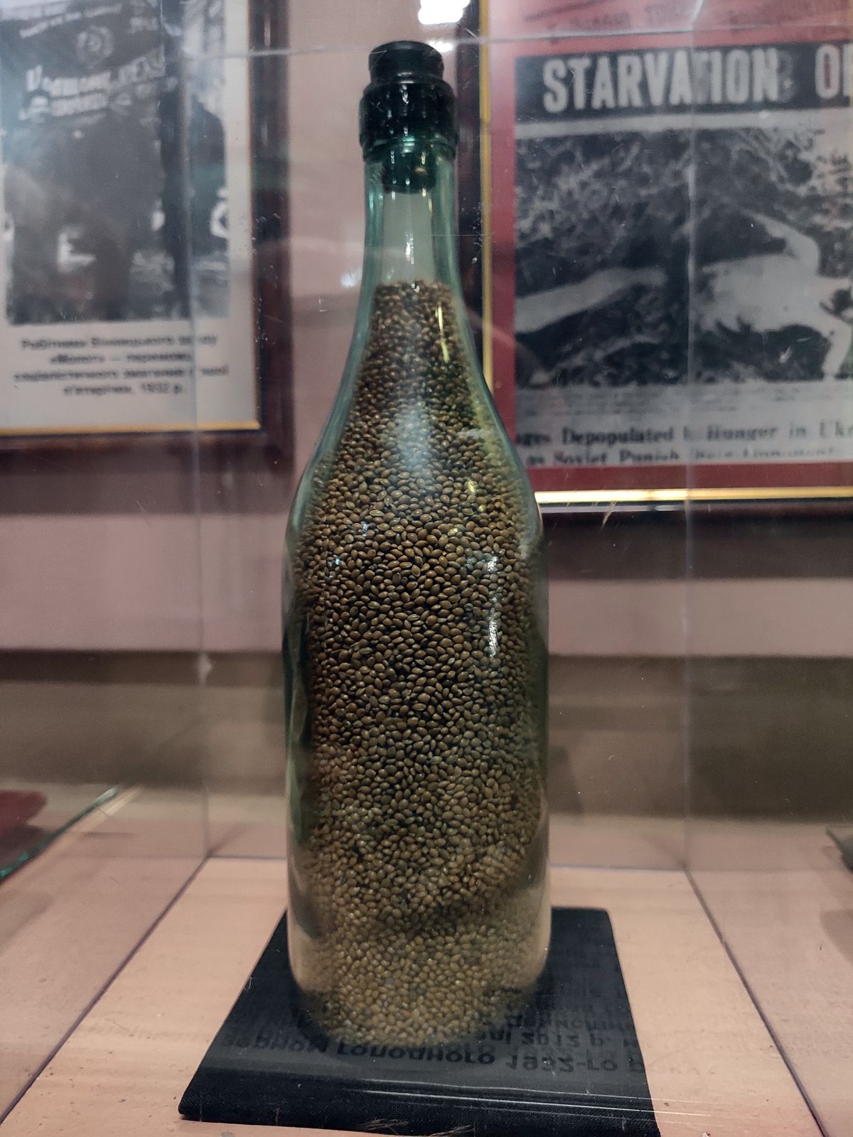 Golodomor-na-Vinnychchyni-2