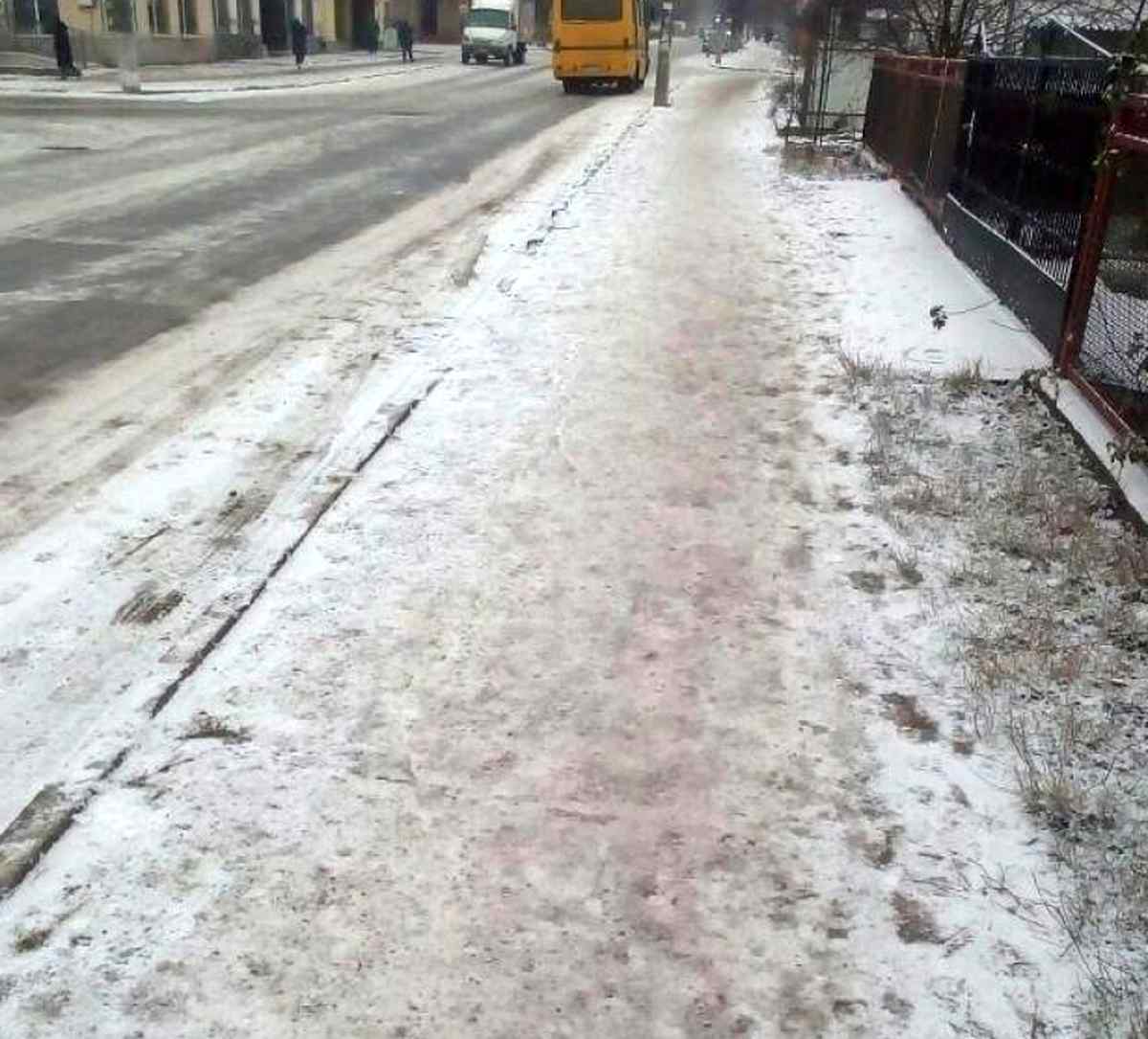 koziatin snig 2