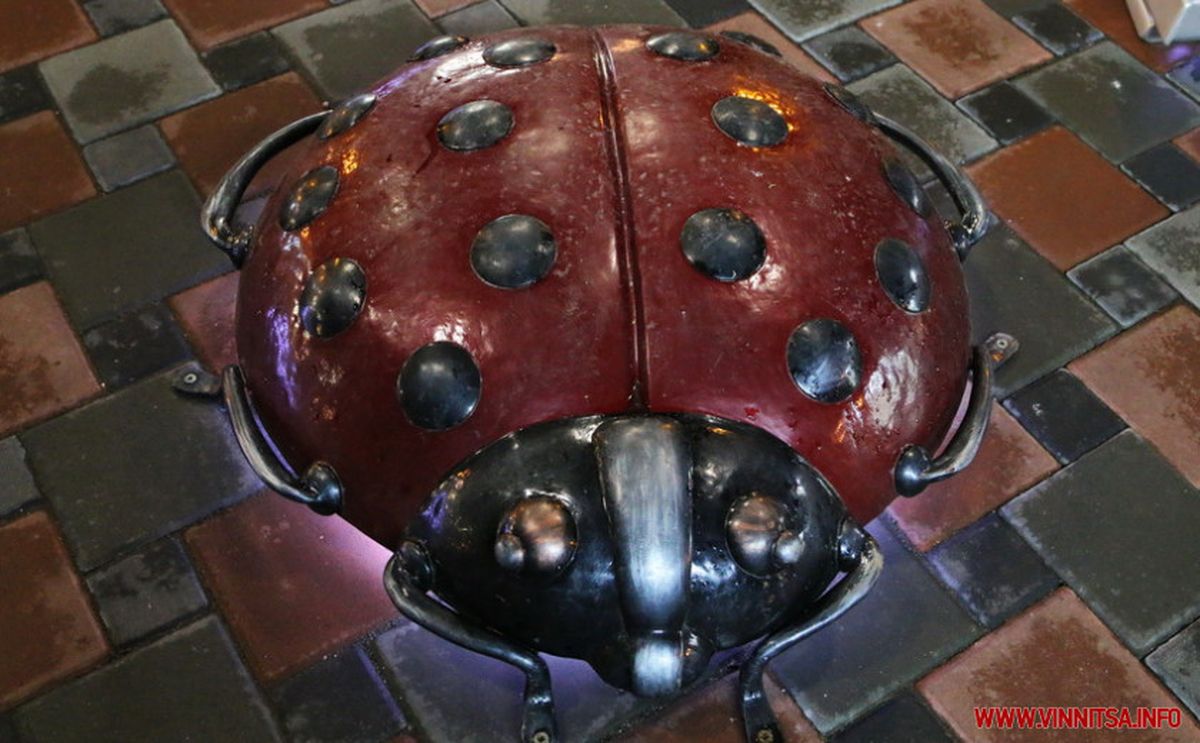 kulbabka h569