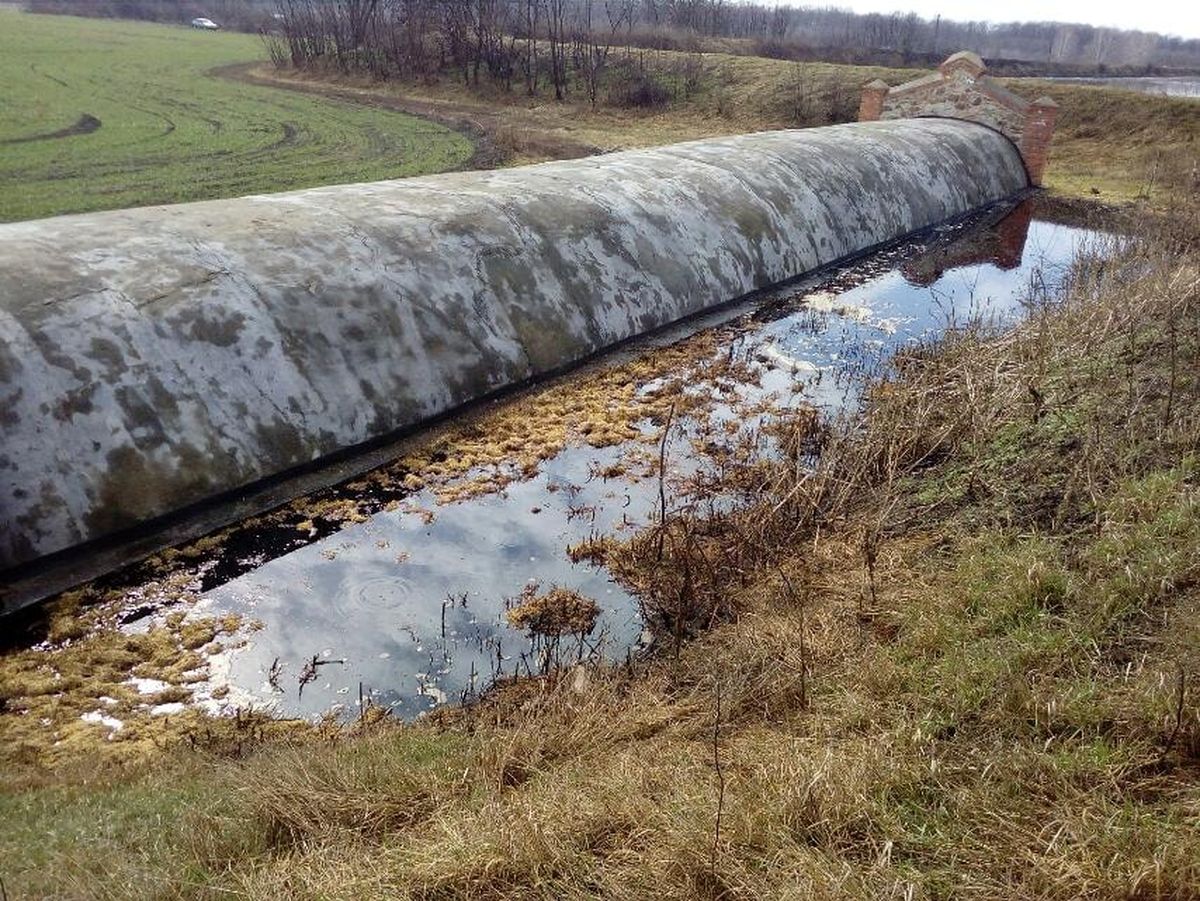 bardopolya-v-Trostyanci-2