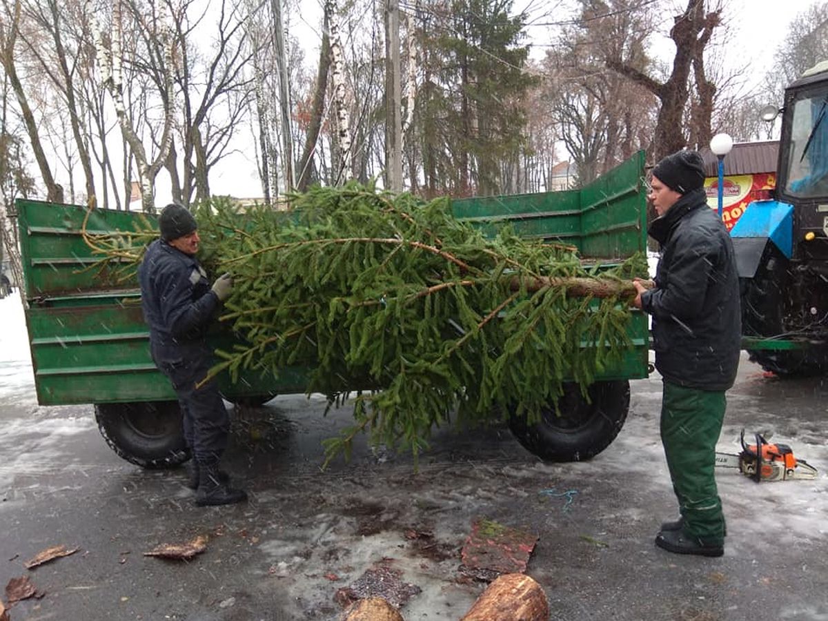 vstanovlyuyut yalynku