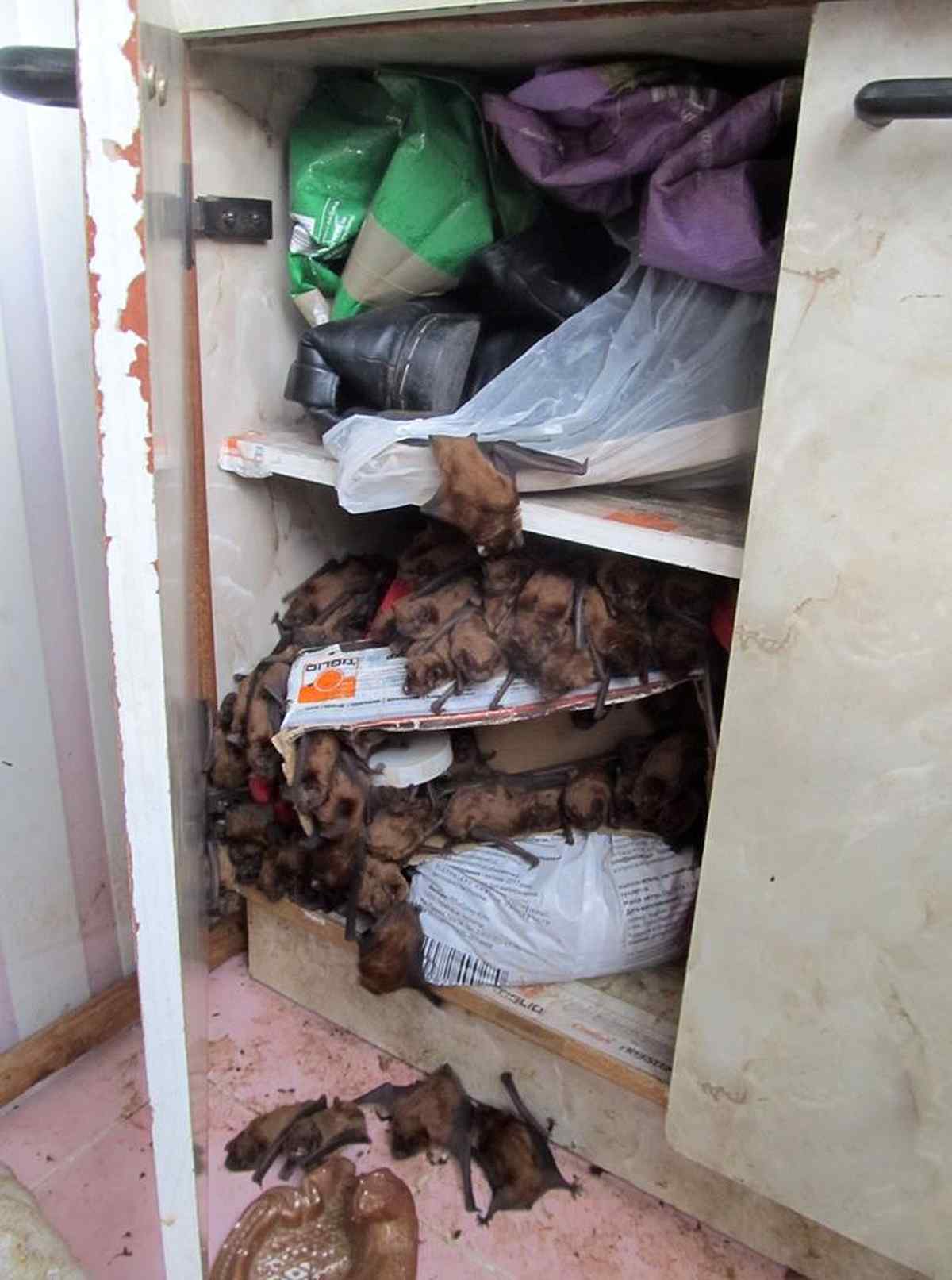 kazhany-vinnitsia-2 1