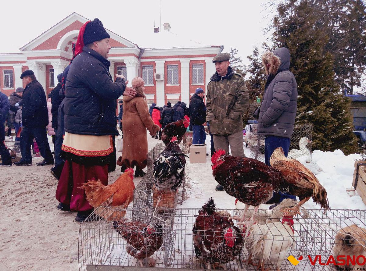 photo 2019-01-14 01-31-31 1