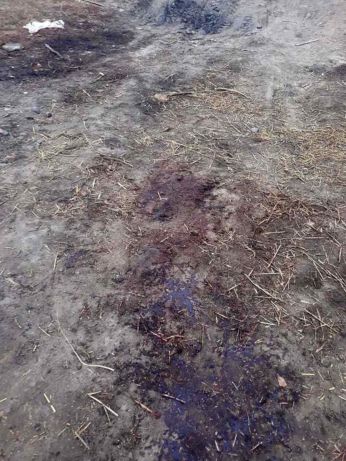 82741116 104555527745221 4006650908833218560 n 1