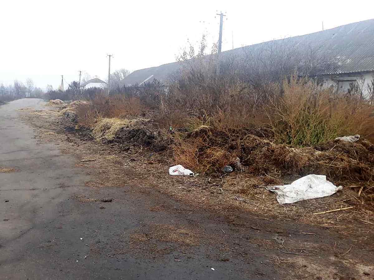 82788182 104555447745229 6778193721553846272 n 1