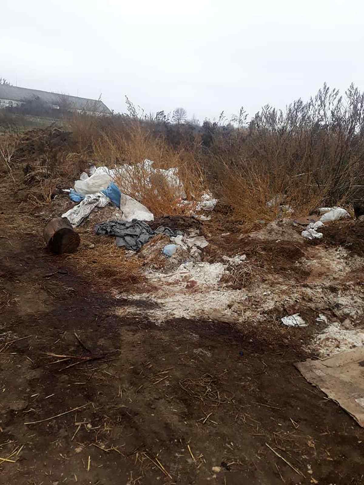 82920907 104555671078540 5881054772307427328 n 1