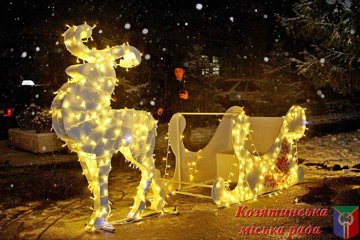 Novyy-Rik-u-Kozyatyni-10 1