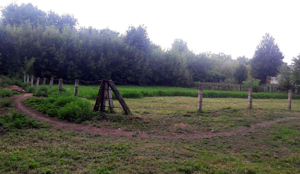 Screenshot 4 1