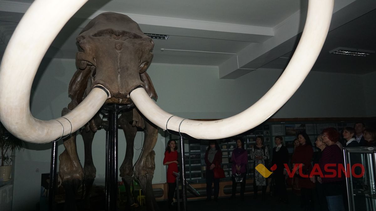 Museion  dim de zhyve kokhannia 1