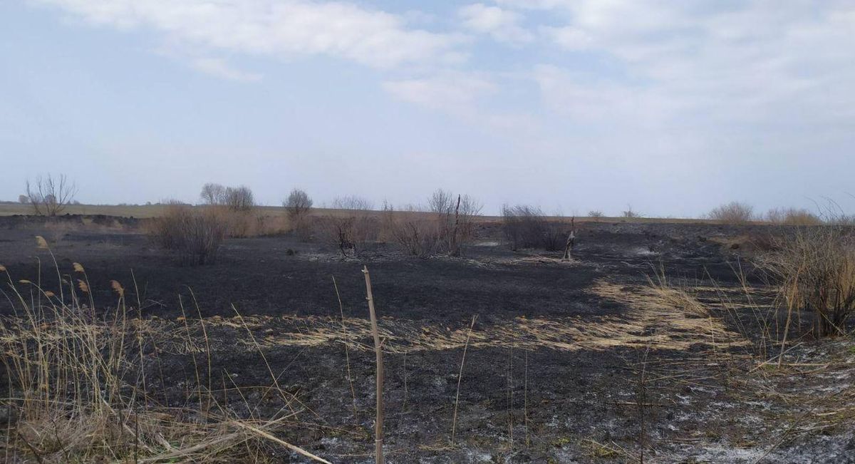 photo 2020-03-28 18-59-38