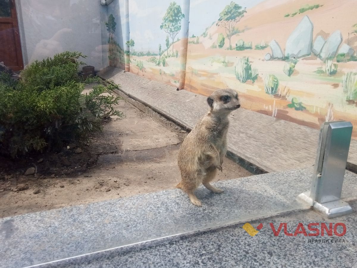 zoo9